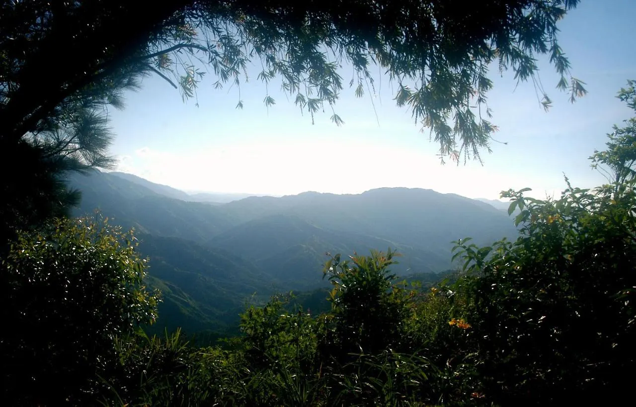 Mavis Bank Lime Tree Farm, Blue Mountainsヴィラ Mavis Bank